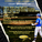 Moose Jaw Miller Express Sign Catcher Colby Greenhalgh
